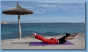 Thumbnail14TheLocustVariation