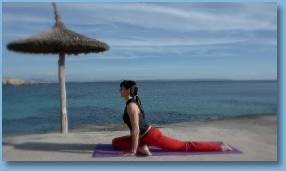 Thumbnail15ThePigeonVariation