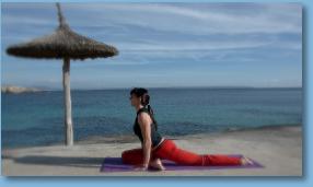 Thumbnail15ThePigeonVariation