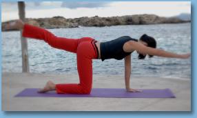 Thumbnail17TheCatTiltPosetheBalancingTable