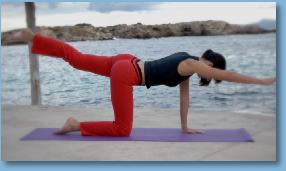 Thumbnail17TheCatTiltPosetheBalancingTable