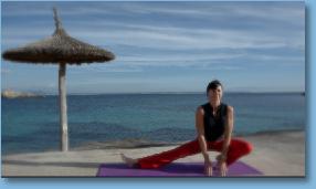 Thumbnail1ExtendedLegSquat