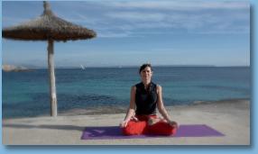 Thumbnail1HalfLotusFullLotusVariation