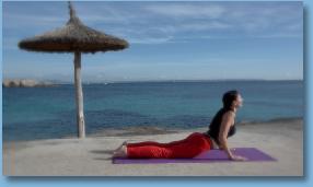 Thumbnail3SphinxCobra