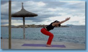 Thumbnail5TheChairtheYogaSeal