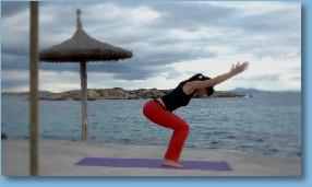 Thumbnail5TheChairtheYogaSeal